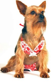 Promiscuous Puppies Image 8