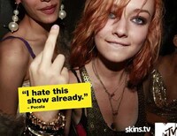Controversial TV Remakes Image 4