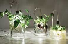 Glass Plant Lights