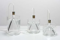 Glass Plant Lights Image 2