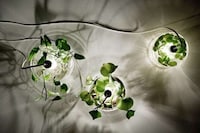 Glass Plant Lights Image 3