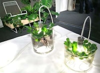 Glass Plant Lights Image 4