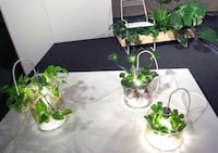 Glass Plant Lights Image 6