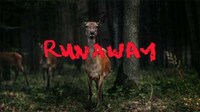 Feature-Length Music Videos