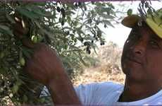 Community-Focused Palestinian Produce