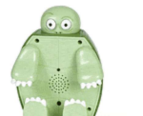 25 Top Turtle Finds