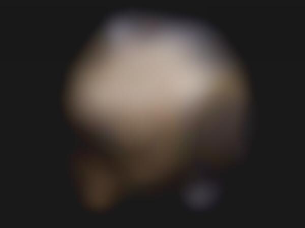 Creepy Skull Cameras