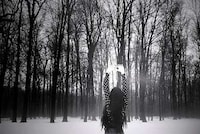 Surreal Cinematic Spreads Image 4