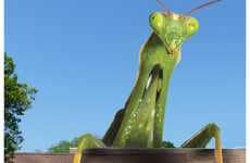 Colossal Creepy-Crawlers