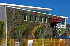 Massive Eco Exteriors