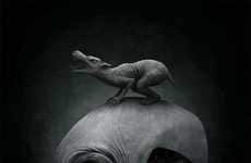 Darkly Daring Designs