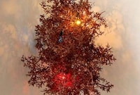 Scrap Food Chandeliers Image 3