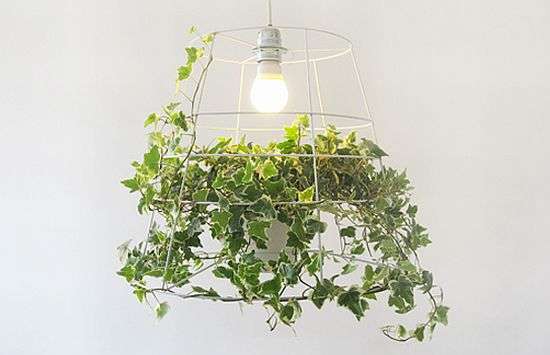 Plant Pendant Lighting