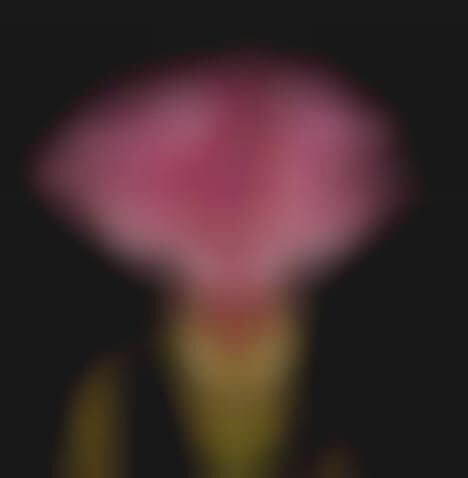 Surreal Humanistic Florals