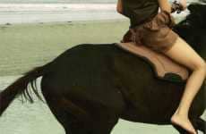 Sun-Kissed Equitorials