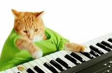 Music-Playing Feline Ads