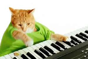 Music-Playing Feline Ads