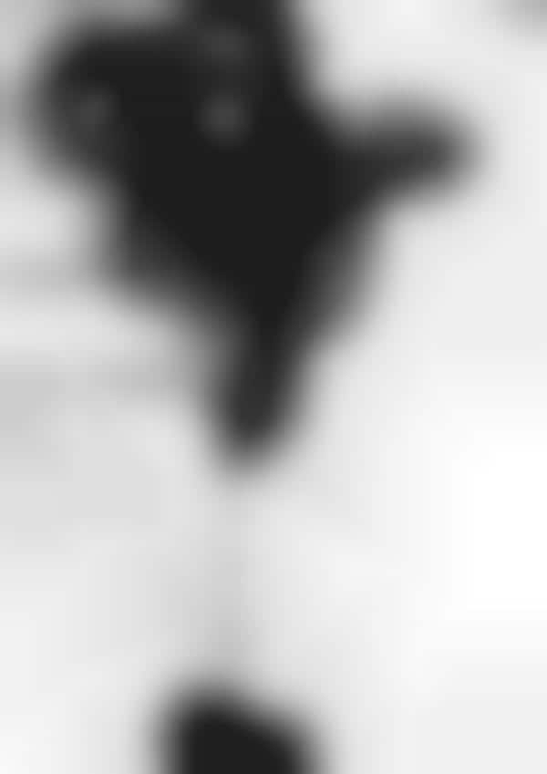 Infuriated Furry Photography