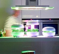 Sci-Fi Plant Pods Image 3