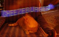 Intense 3D Apps Image 2