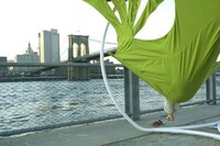 Leaf-Shaped Loungers Image 3
