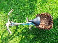 Prickly Cycle Carriers