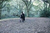 Dark Woodland Photography Image 6