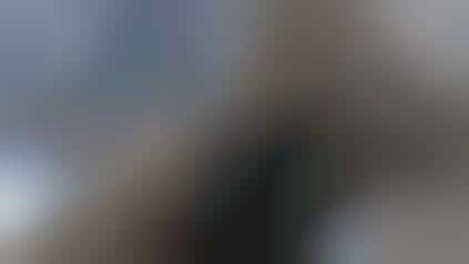 Killer Teddy Bear Videos