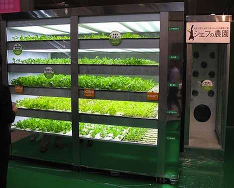 Post-Apocalyptic Vegetable Farms