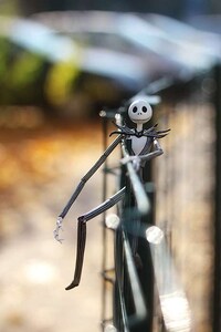 Skeleton Sidekick Shoots Image 4