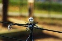 Skeleton Sidekick Shoots Image 5