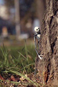 Skeleton Sidekick Shoots Image 6