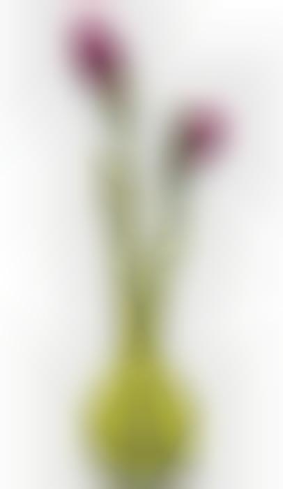 Allium-Inspired Flower-Holders