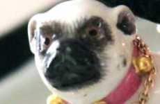 Canine Jewelry Collections