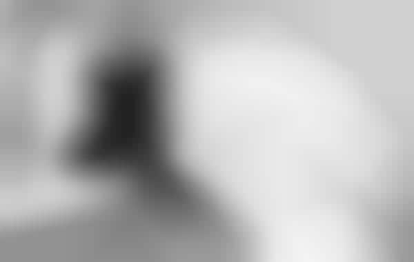 Curving Backdrop Photography
