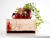 Tabletop Ecosystems Image 3