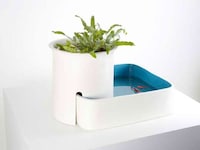 Tabletop Ecosystems Image 4