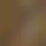 Social Moustache Sites