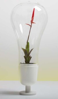 Light Bulb Planters Image 2