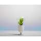 Light Bulb Planters Image 4