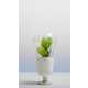 Light Bulb Planters Image 7