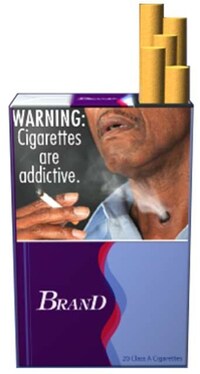 Ashtray Lung Ads Image 4