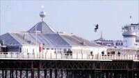High-Flying Dock-Hoppers  Image 2