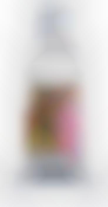 Cartoon H2O Containers