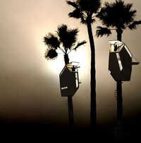 Topiary Eco-Pods Image 2