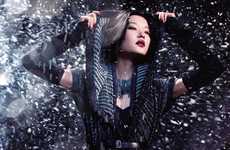 Scintillating Snowy Pictorials