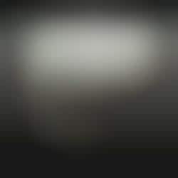 Mesmerizing Viral Videos