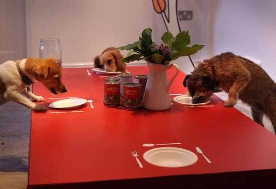 Pop-Up Puppy Eateries