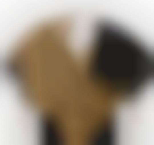 Extravagant Fur Accessories