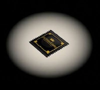 Luxury Prophylactics Image 2